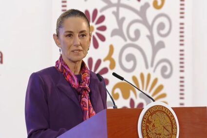 Estrategia de seguridad funcionará poco a poco según la presidenta