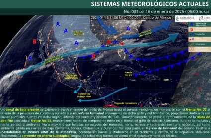 Frío, derribo de árboles y anuncio, tormentas y más con este clima