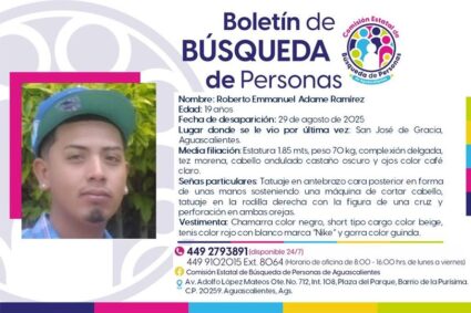 Boletín de búsqueda: desaparece tras fiesta