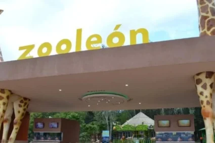 Muertes absurdas en el Zoo León