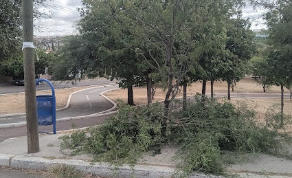 Limpian Línea Verde