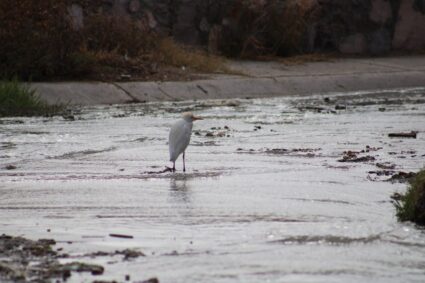 La Ribera, con sus drenajes por las calles