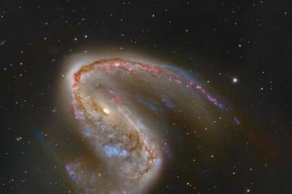 NGC 2442