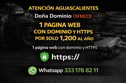 Web con HTTPS y dominio por un año: 1200
