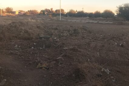 Tumban mezquites para construir fraccionamiento junto a Leche San Marcos