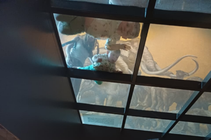 Un saludo desde el remoto pasado