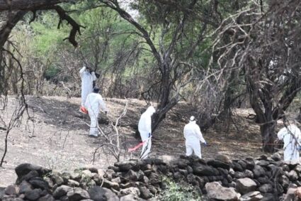 Localizan osamenta con placa y múltiples restos humanos en el crematorio de Lagos de Moreno