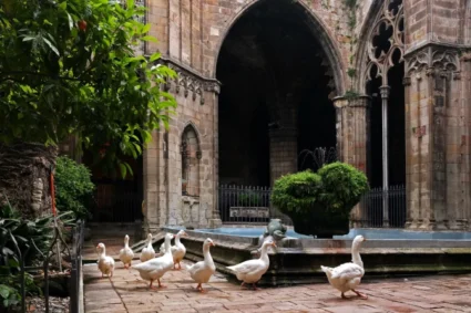 El doloroso martirio de la niña Santa Eulalia, las ocas que la custodian y la visita papal por Barcelona