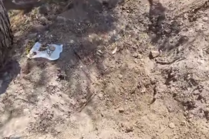 ⏱️ EL DESFASE DE LA VERDAD: HASTA 48 HORAS TARDARÁN LOS GRANDES MEDIOS EN REPORTAR EL MACRO-CAMPO DE EXTERMINIO EN LAGOS DE MORENO