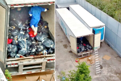 El día que el IJCF se quiso deshacer de 444 cuerpos