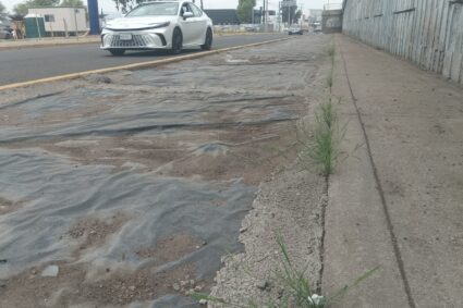 Quitan plantas de jardinera de Segundo Anillo y Constitución