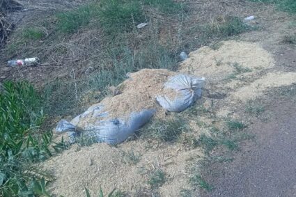 ​FRUSTRAN ATENTADO EN AGUASCALIENTES: ASEGURAN MÁS DE 200 KILOS DE EXPLOSIVOS COLOCADOS EN LAS VÍAS DEL TREN