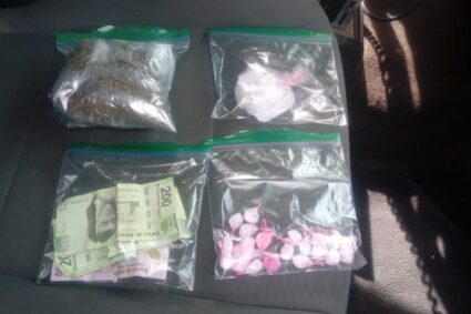Policíacas estatales 13 de abril de 2019