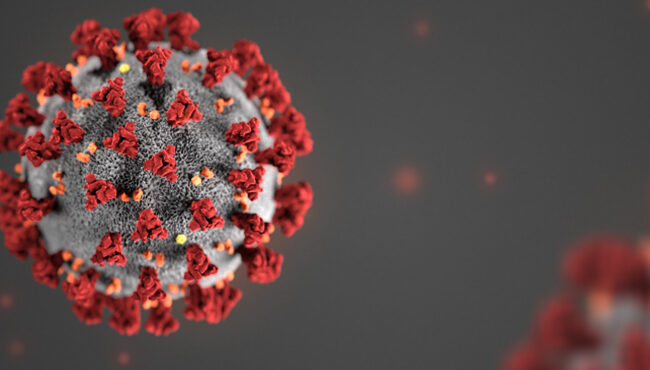 (1) La imagen real del coronavirus.
