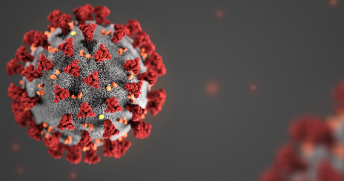 (1) La imagen real del coronavirus.